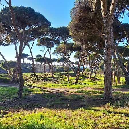 ססימברה Sea Wave Sounds, Meco, By The Beach מראה חיצוני תמונה